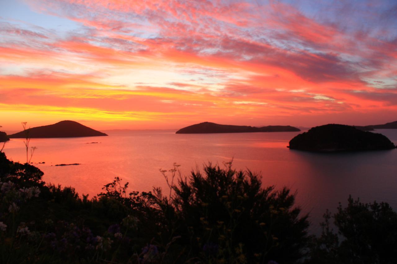Coromandel Cottages エクステリア 写真