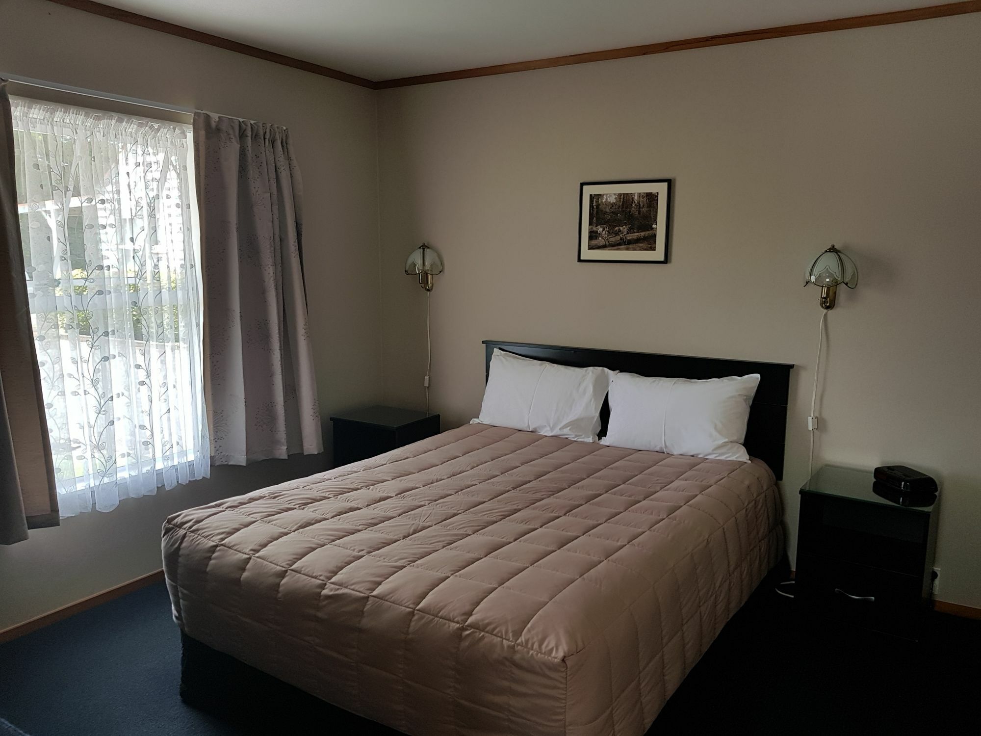 Coromandel Cottages エクステリア 写真